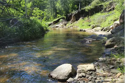 0 County Road 59, Allenspark, CO 80510 - Photo 13