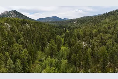 0 County Road 59, Allenspark, CO 80510 - Photo 23