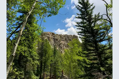 0 County Road 59, Allenspark, CO 80510 - Photo 11