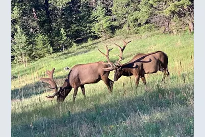 0 County Road 59, Allenspark, CO 80510 - Photo 33