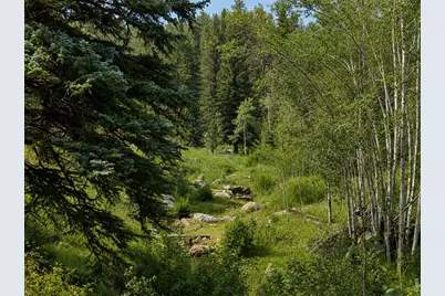 0 County Road 59, Allenspark, CO 80510 - Photo 21