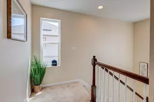 1617 Northcroft Dr, Windsor, CO 80550 - Photo 17