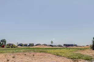 1617 Northcroft Dr, Windsor, CO 80550 - Photo 37