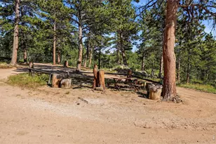 3497 Coal Creek Canyon Dr, Nederland, CO 80466 - Photo 33