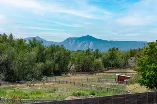 4481 Clay St, Boulder, CO 80301 - Photo 3