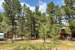 655 W Spruce St, Nederland, CO 80466 - Photo 1