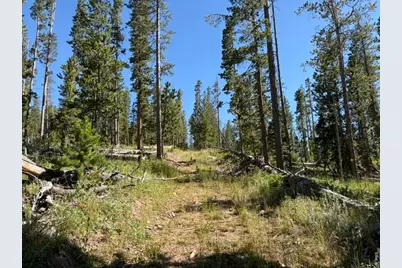Pratt Creek Rd, Livermore, CO 80536 - Photo 7