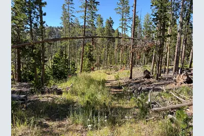 Pratt Creek Rd, Livermore, CO 80536 - Photo 5