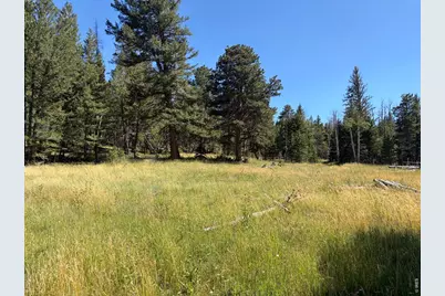 Pratt Creek Rd, Livermore, CO 80536 - Photo 17