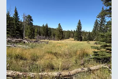 Pratt Creek Rd, Livermore, CO 80536 - Photo 1