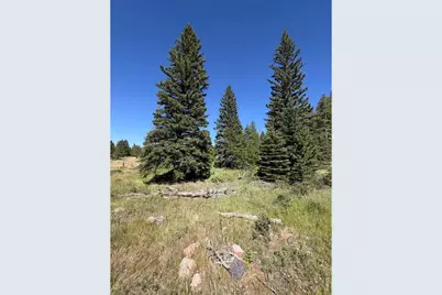 Pratt Creek Rd, Livermore, CO 80536 - Photo 13
