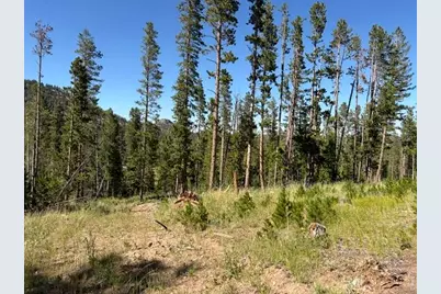 Pratt Creek Rd, Livermore, CO 80536 - Photo 3