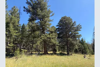 Pratt Creek Rd, Livermore, CO 80536 - Photo 11
