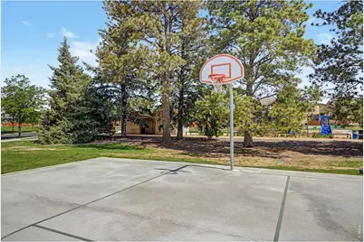 3451 Yule Trail Dr, Fort Collins, CO 80524 - Photo 39
