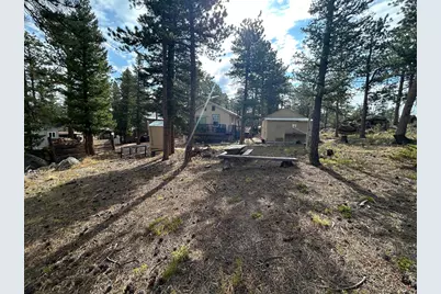 201 Onawa Rd, Red Feather Lakes, CO 80545 - Photo 15