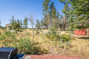 478 Wapiti Rd, Red Feather Lakes, CO 80545 - Photo 35