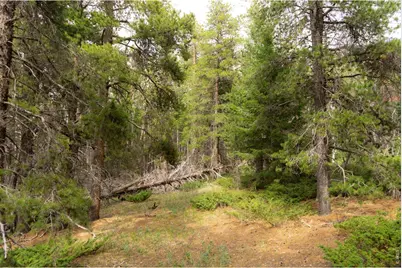 0 Twin Spruce Rd, Golden, CO 80403 - Photo 7