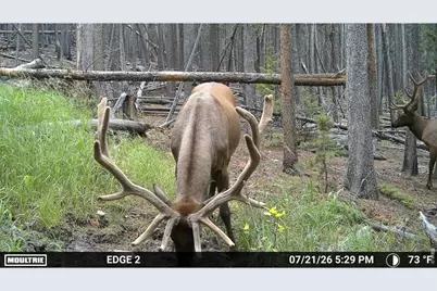 0 Twin Spruce Rd, Golden, CO 80403 - Photo 19