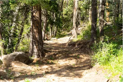 0 Twin Spruce Rd, Golden, CO 80403 - Photo 15