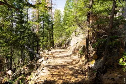 0 Twin Spruce Rd, Golden, CO 80403 - Photo 17