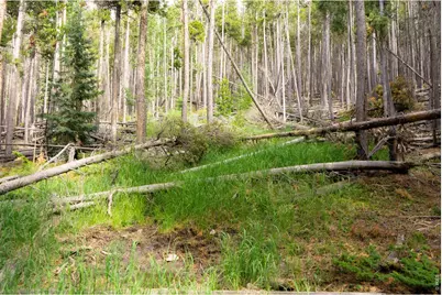 0 Twin Spruce Rd, Golden, CO 80403 - Photo 13