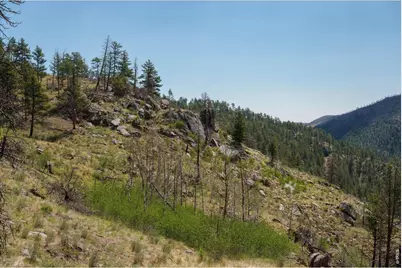 693 Cougar Dr, Bellvue, CO 80512 - Photo 33