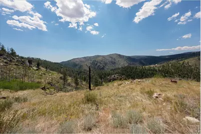 693 Cougar Dr, Bellvue, CO 80512 - Photo 15