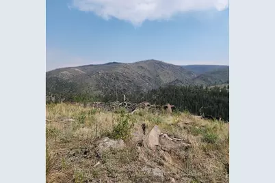 693 Cougar Dr, Bellvue, CO 80512 - Photo 39