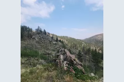 693 Cougar Dr, Bellvue, CO 80512 - Photo 37