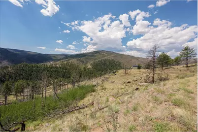 693 Cougar Dr, Bellvue, CO 80512 - Photo 25