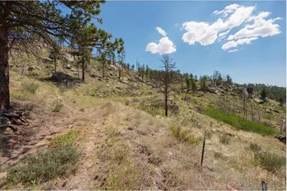 693 Cougar Dr, Bellvue, CO 80512 - Photo 17