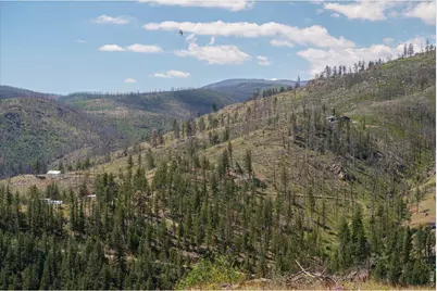 693 Cougar Dr, Bellvue, CO 80512 - Photo 35