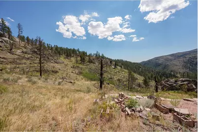 693 Cougar Dr, Bellvue, CO 80512 - Photo 29