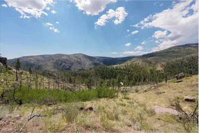 693 Cougar Dr, Bellvue, CO 80512 - Photo 21
