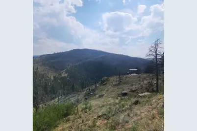 693 Cougar Dr, Bellvue, CO 80512 - Photo 49