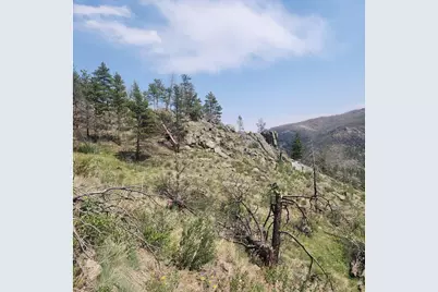 693 Cougar Dr, Bellvue, CO 80512 - Photo 45