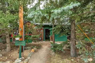 650 W Pine St, Nederland, CO 80466 - Photo 1