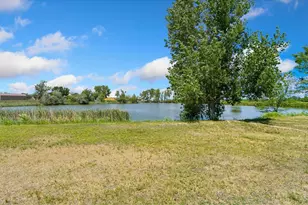 7250 Lake View Ct, Windsor, CO 80550 - Photo 45