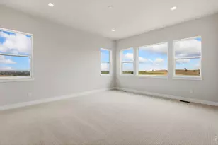 1613 Flourish Ct, Windsor, CO 80550 - Photo 11