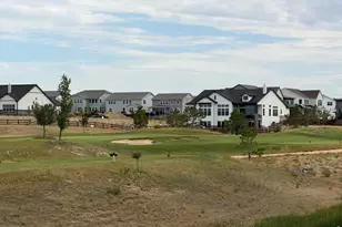 1613 Flourish Ct, Windsor, CO 80550 - Photo 21