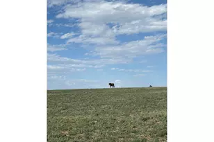 0 County Road 35, Platteville, CO 80651 - Photo 1