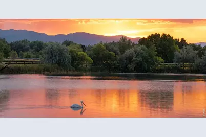 1530 Waterfront Dr, Windsor, CO 80550 - Photo 31