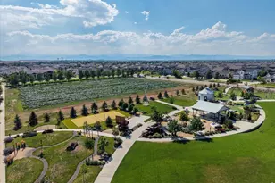 1530 Waterfront Dr, Windsor, CO 80550 - Photo 43