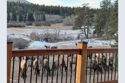 1650 Lazy Z Rd, Nederland, CO 80466 - Photo 29