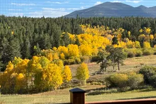 1650 Lazy Z Rd, Nederland, CO 80466 - Photo 27