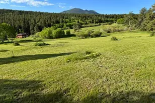 1650 Lazy Z Rd, Nederland, CO 80466 - Photo 25