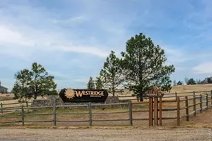 2935 Living Springs Ln, Fort Collins, CO 80526 - Photo 1