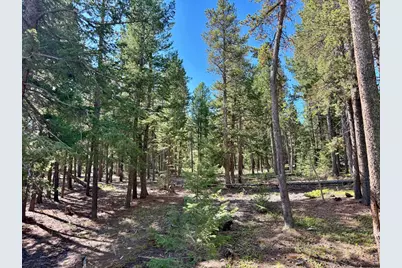 312 Ridge Rd, Ward, CO 80481 - Photo 9