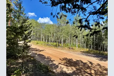 312 Ridge Rd, Ward, CO 80481 - Photo 3
