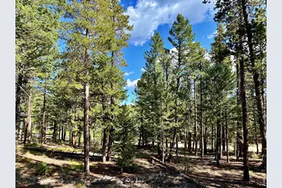 312 Ridge Rd, Ward, CO 80481 - Photo 7